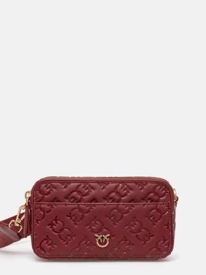 Сумка Pinko Camera Bag Mini Бордо1